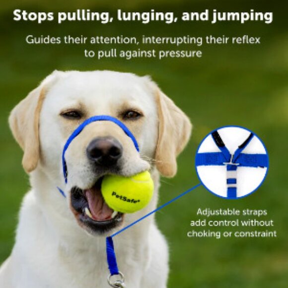 PetSafe Gentle Leader Padded No Pull Dog Headcollar, Black, Small 7" to 15" neck - Picture 3 of 9